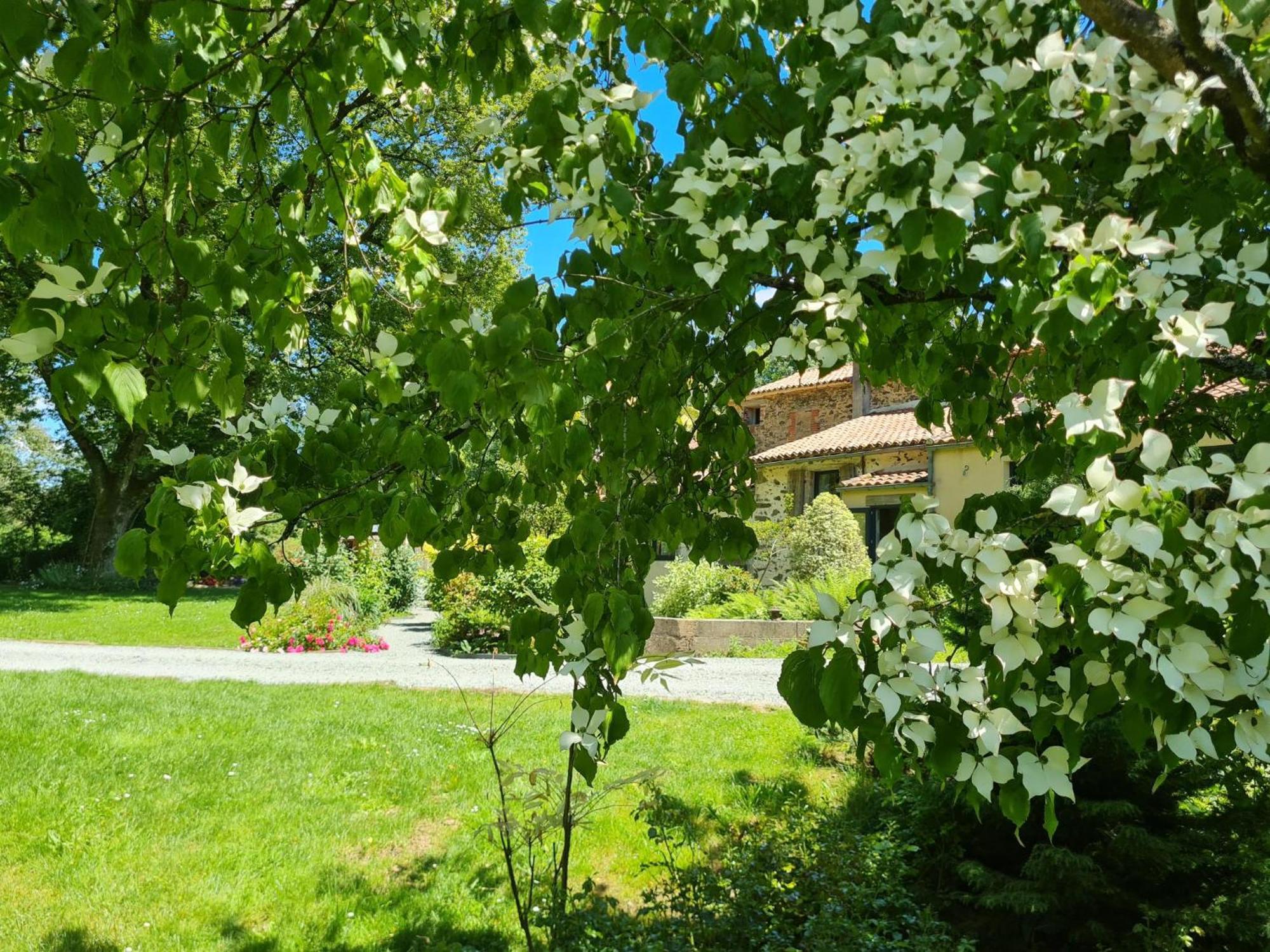 Du Petit Moulin *