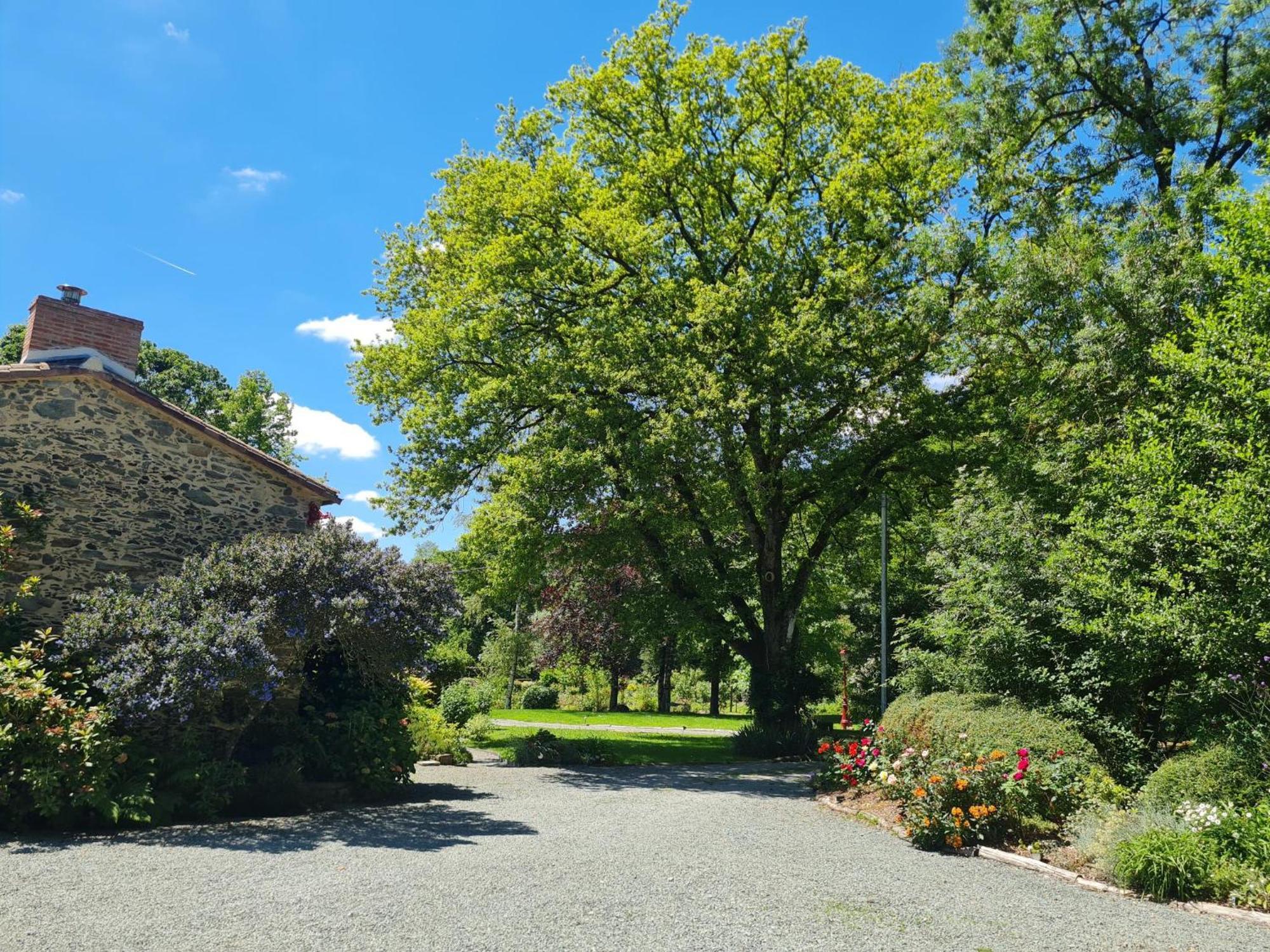 Ferienhaus Du Petit Moulin *